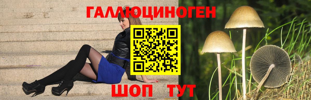 Галлюциногенные грибы Magic Shrooms  Вход с VPN  Набережные Челны 